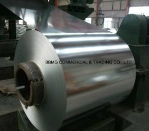 China Factory Sale Dx51d Z60 Galvanized Steel Strip (SGCC, PPGI, ASTM A653)