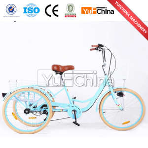 Good Quality 3 Wheel Adults Tricycle with Child Seat Sale