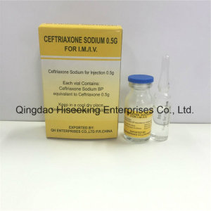 GMP Pharmaceutical Chemicals Ceftriaxone Sodium for Injection 0.5g
