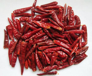 New Crop Dry Red Chilli of Vegetable