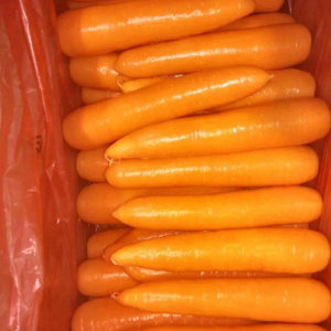 80-150g, 150-200g, 200-250g, 250-300g Carrot