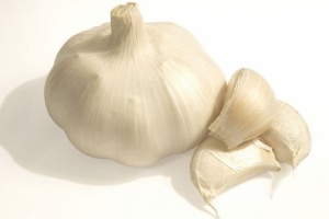 Professional Garlic Supplier Dehydrated Garlic Powder