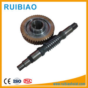 High Quality C45 Material Worm and Worm Gear and Worm