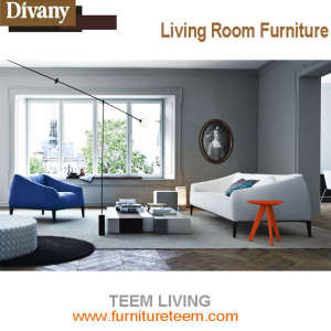 Teem Living Divany Furniture Exclusive Designer Sofa
