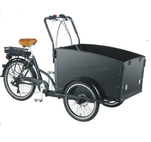 3 Wheel Motor Tricycle Tricycle with Cargo Box